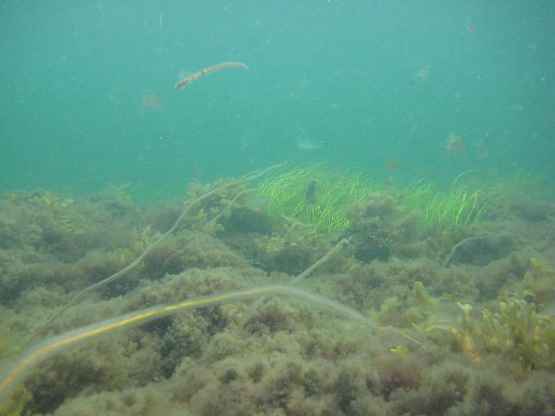 2009-08-21 15-49-08S.JPG